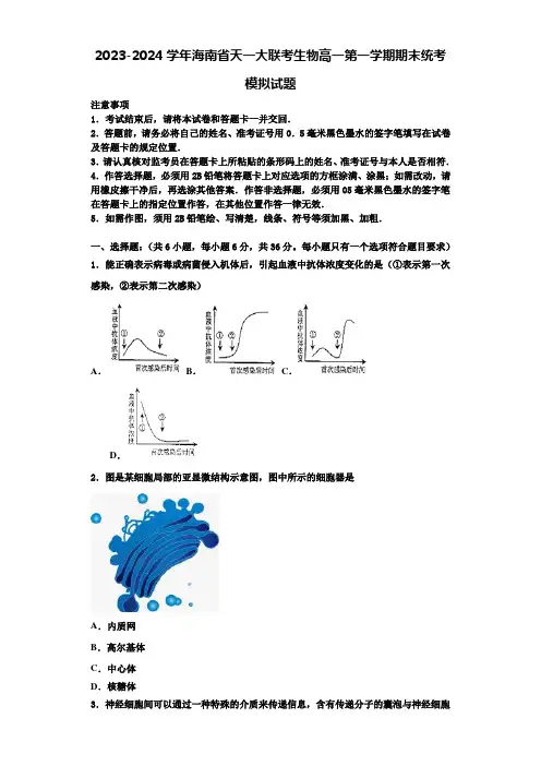 2023-2024学年海南省天一大联考生物高一第一学期期末统考模拟试题含解析