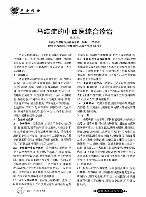 马结症的中西医综合诊治