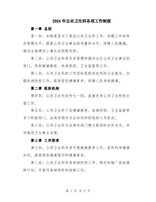 2024年公共卫生科各项工作制度