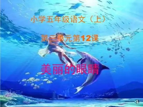 五年级语文上册 第三单元 美丽的眼睛课件2 西师大版(1)