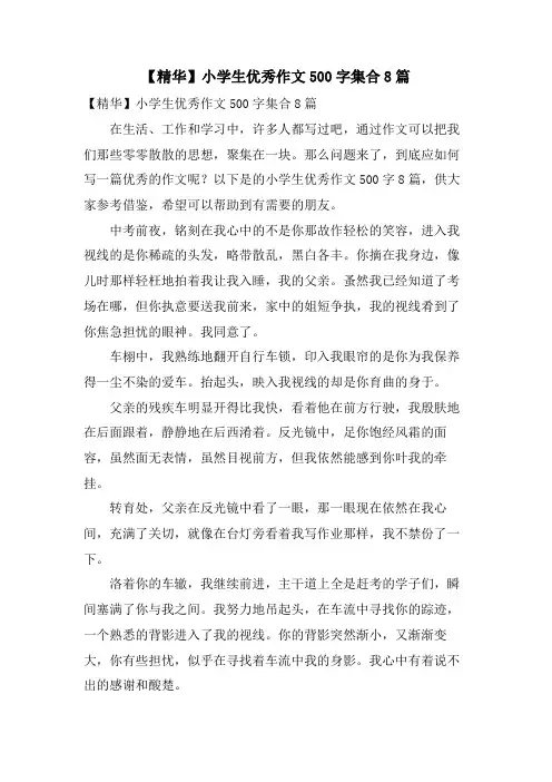 小学生优秀作文500字集合8篇