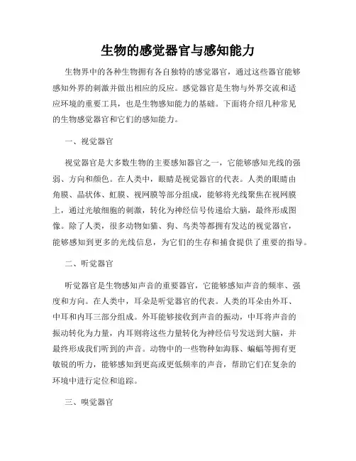 生物的感觉器官与感知能力