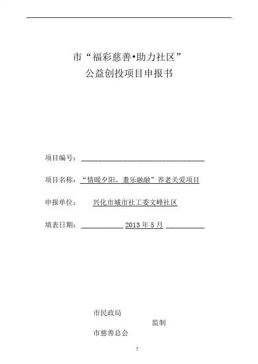 公益创投项目申报书范本