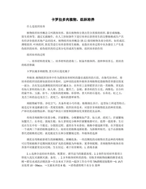 卡罗拉多肉植物,组织培养