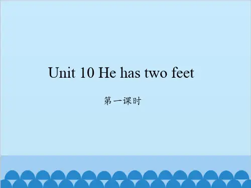 四年级下册英语课件-Unit 10 He has two feet｜ 湘少版