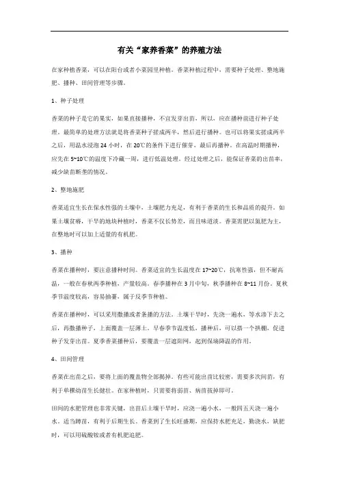家养香菜的养殖方法