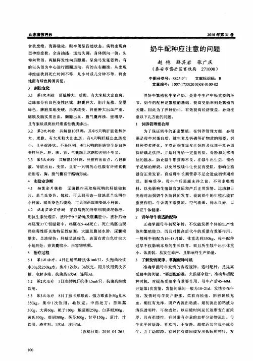 奶牛配种应注意的问题