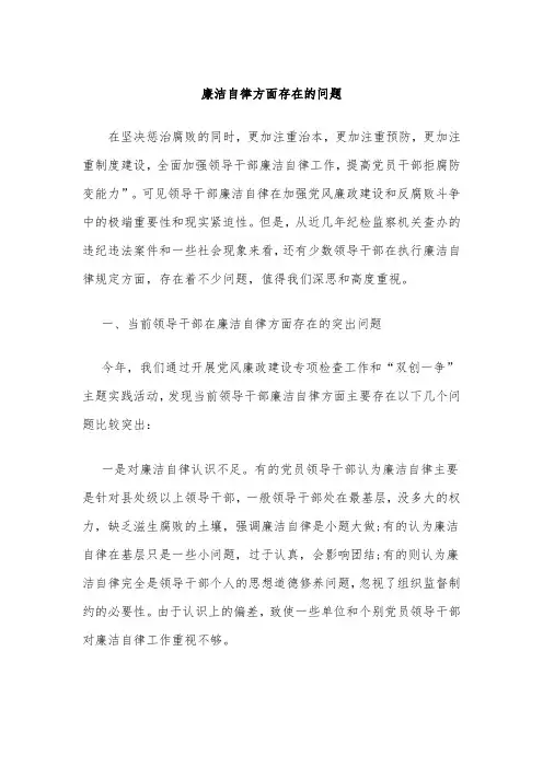 廉洁自律方面存在的问题
