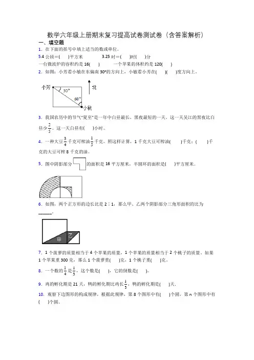 数学六年级上册期末复习提高试卷测试卷(含答案解析)