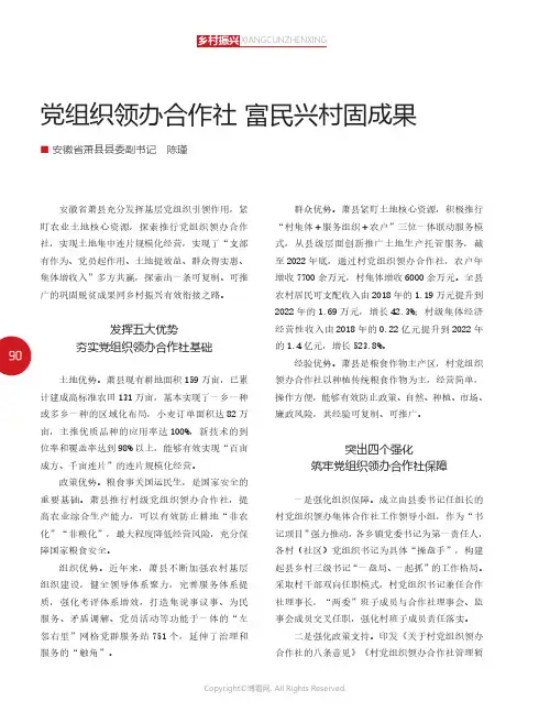 党组织领办合作社_富民兴村固成果