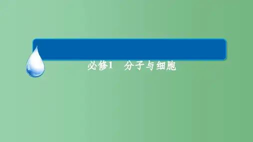 高考生物一轮复习 第1单元 走近细胞和组成细胞的分子 第1讲 走近细胞 新人教版必修1