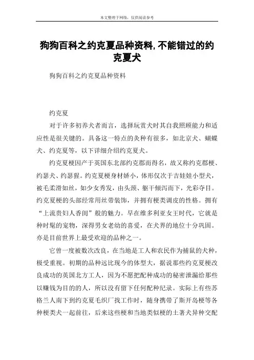 狗狗百科之约克夏品种资料,不能错过的约克夏犬