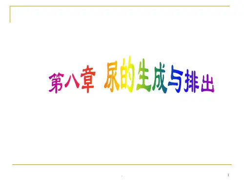 肾脏PPT课件