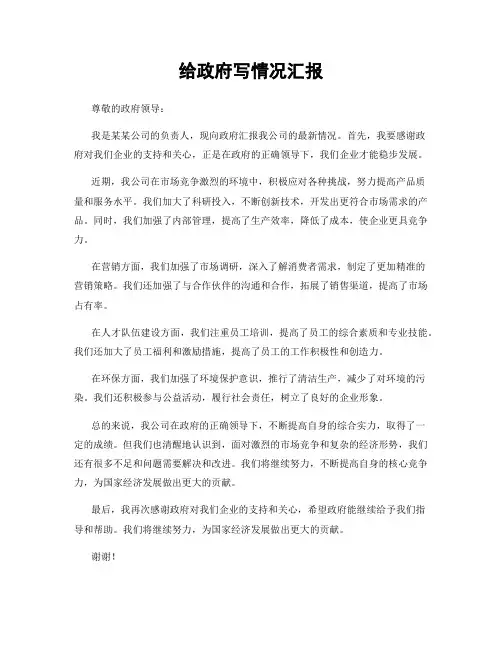给政府写情况汇报