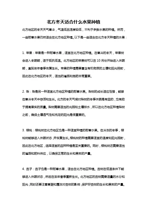 北方冬天适合什么水果种植