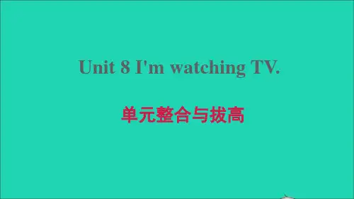 六年级英语下册Unit8I'mwatchingTV单元整合与拔高课件鲁教版五四制