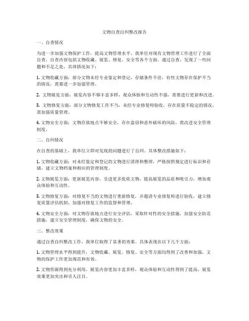 文物自查自纠整改报告