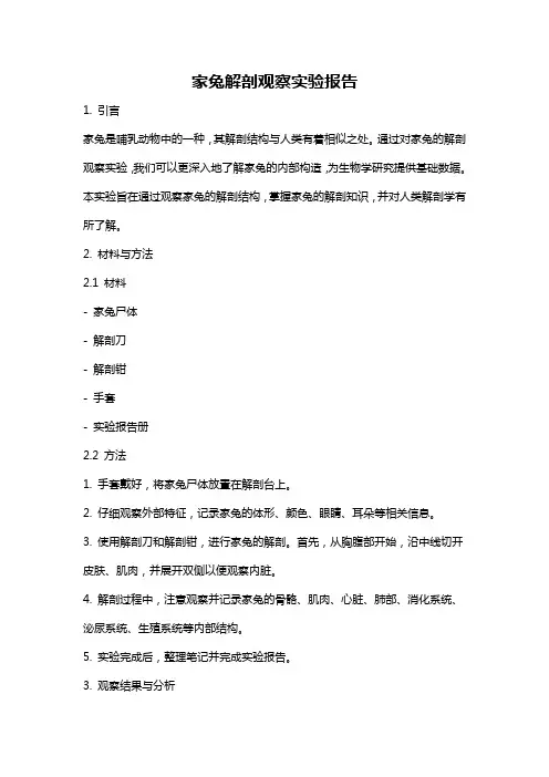 家兔解剖观察实验报告
