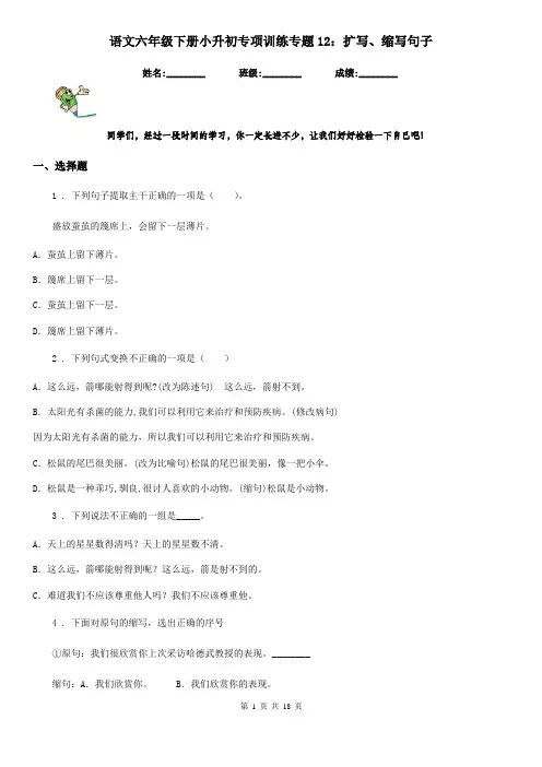 语文六年级下册小升初专项训练专题12：扩写、缩写句子