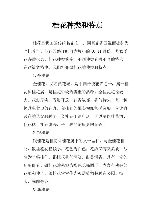 桂花种类和特点