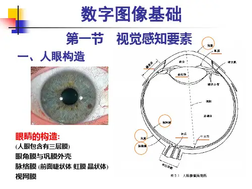 数字图像基础知识-视觉感知要素