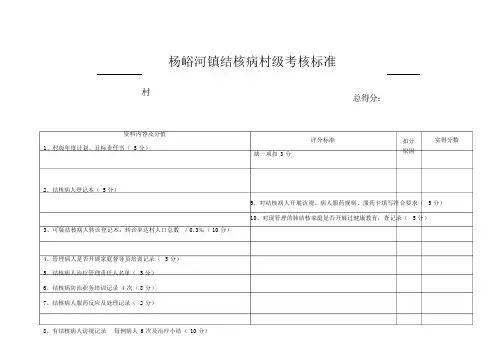 村级结核考核