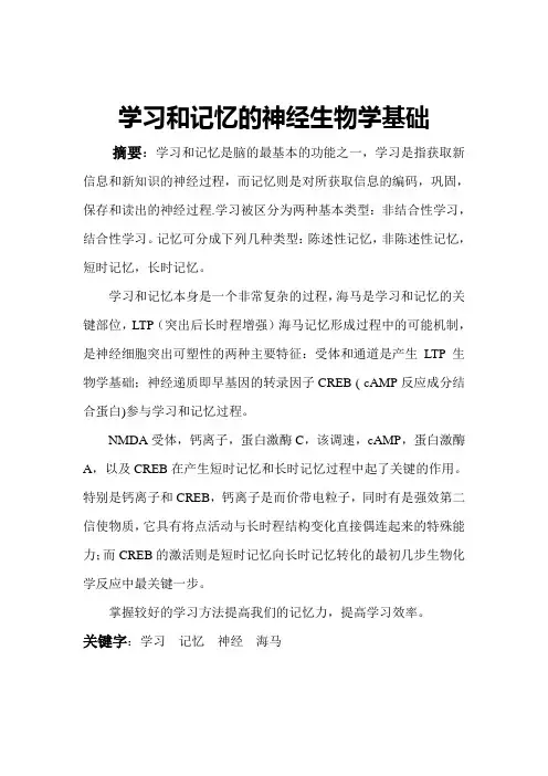 记忆和神经学