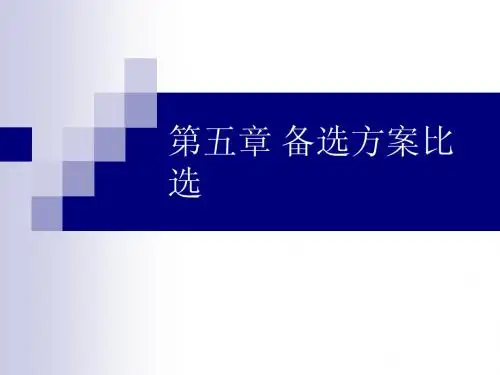 5 备选方案比选
