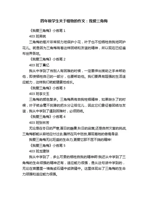 四年级学生关于植物的作文：我爱三角梅