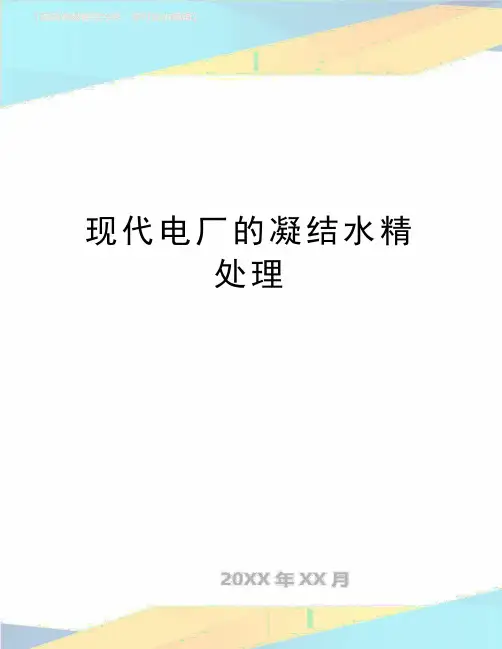 最新现代电厂的凝结水精处理