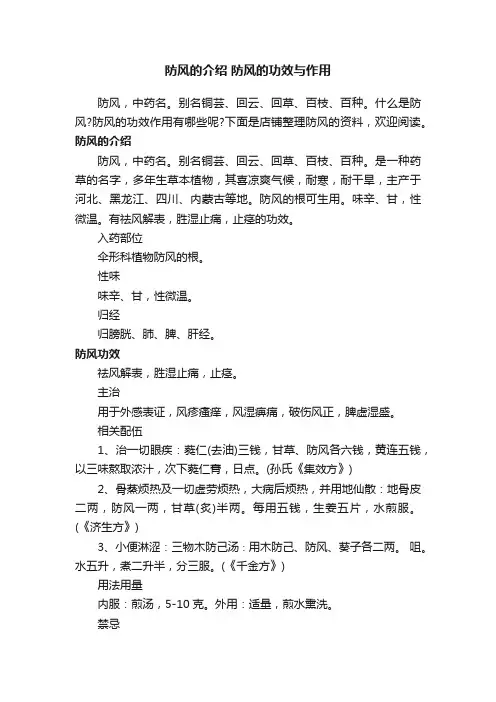 防风的介绍防风的功效与作用