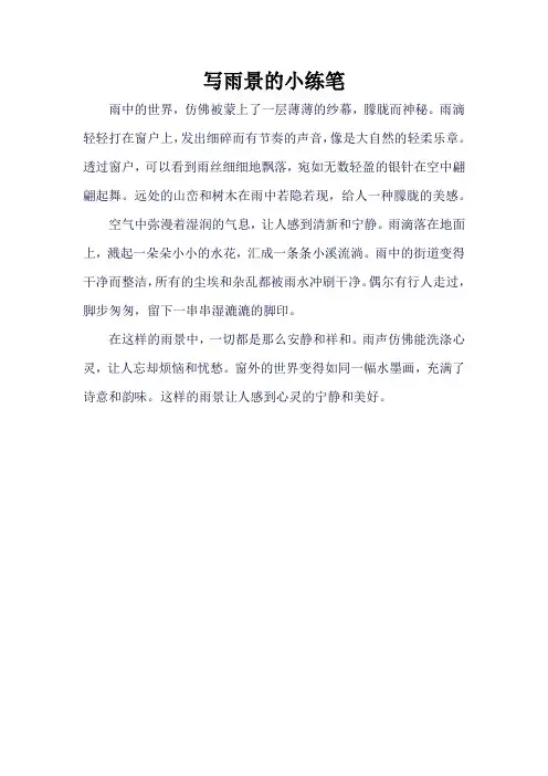 写雨景的小练笔