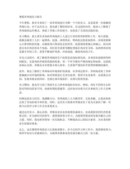 暑假养鸡场实习报告