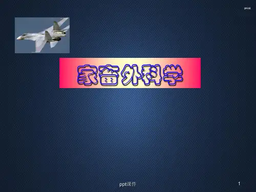 动物外科学--外科感染  ppt课件