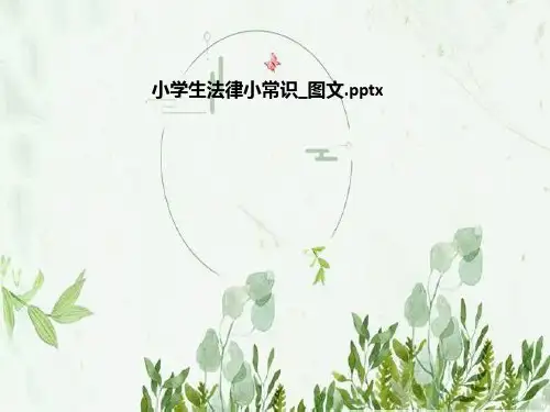 小学生法律小常识_图文