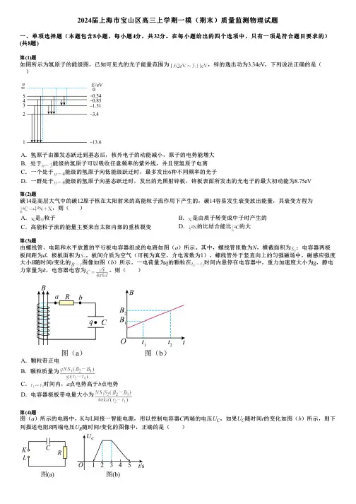 2024届上海市宝山区高三上学期一模(期末)质量监测物理试题