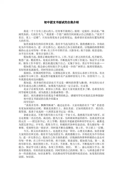 初中团支书面试的自我介绍
