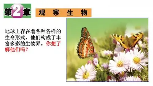 浙教版七年级上册科学第二章 观察生物 课件 (共24张PPT)