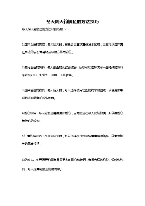 冬天阴天钓鲫鱼的方法技巧