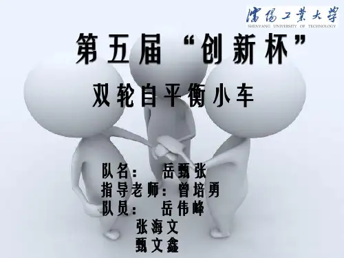 双轮自平衡小车