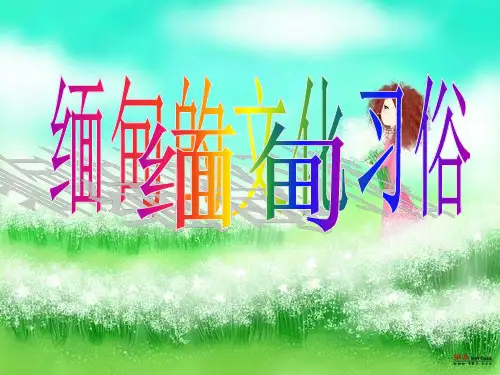 缅甸ppt