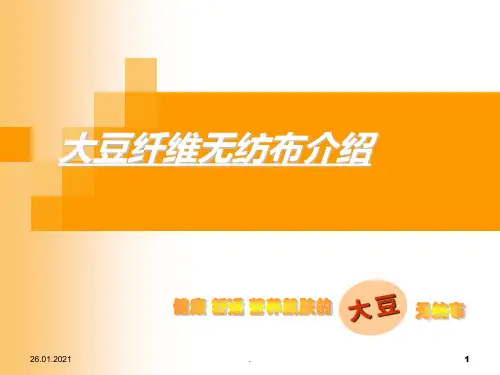 大豆蛋白纤维无纺布PPT课件