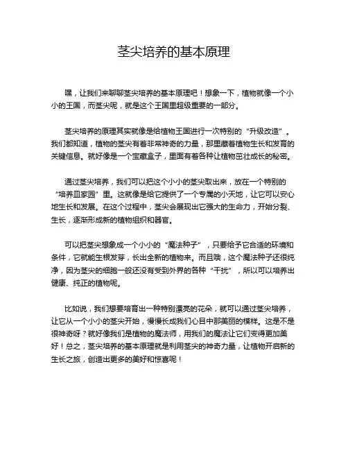 茎尖培养的基本原理