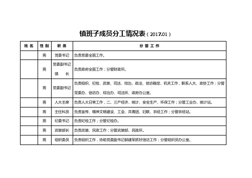 镇班子成员分工情况表