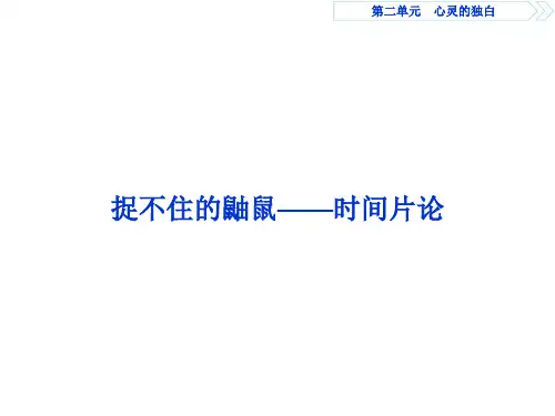 【捉不住的鼬鼠——时间片论】课件