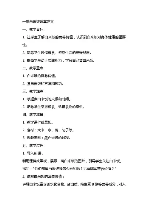 一碗白米饭教案范文