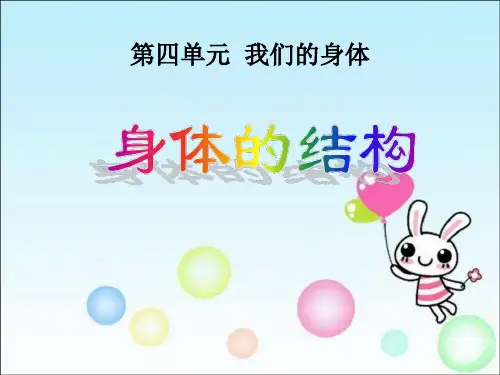 《身体的结构》我们的身体PPT课件4