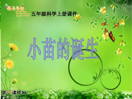 第1课--小苗的诞生-1
