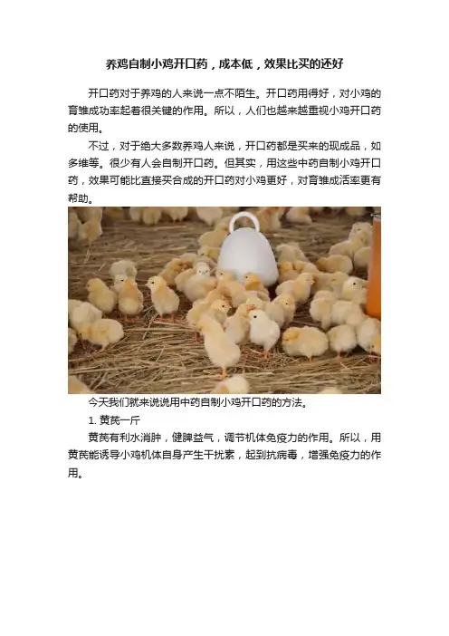 养鸡自制小鸡开口药，成本低，效果比买的还好