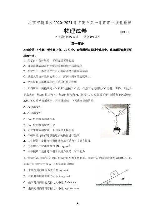 北京市朝阳区2021届高三第一学期期中考试物理试题 含答案